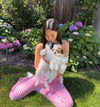 Full leaked Shannon zhao private onlyfans photo