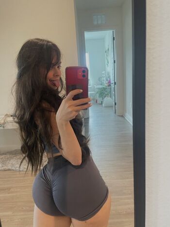 silllymel