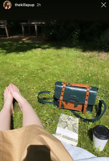 Solomonica De Winter