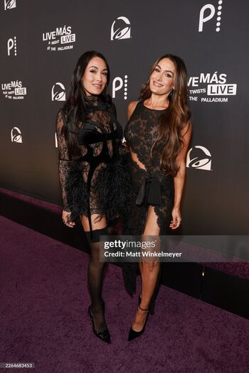 The Bella Twins